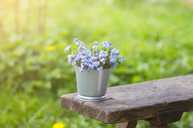 Forget-me-not blue spring garden flowers bouquet outdoors on the wooden bench