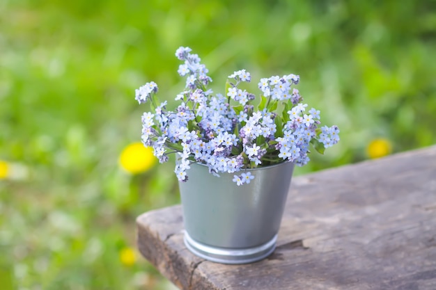 Forget-me-not blue spring garden flowers bouquet outdoors on the wooden bench