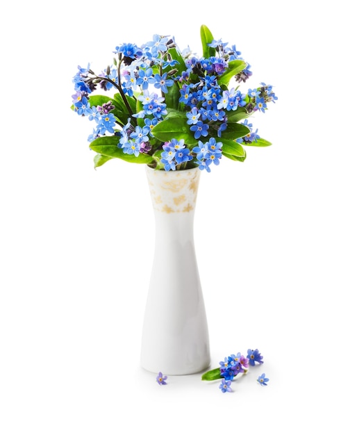 Forget me not flowers in vase