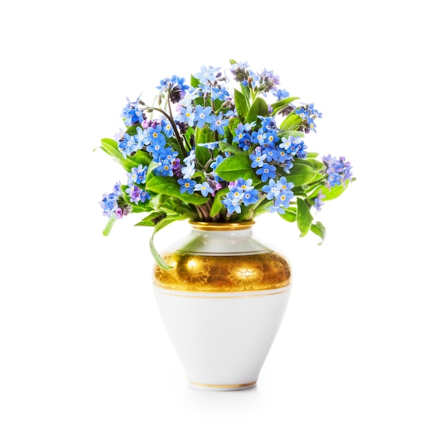 Forget me not flowers in vase