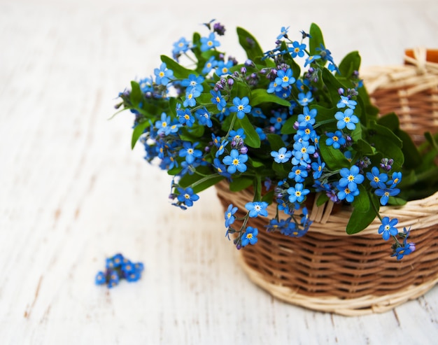 Forget me nots flowers