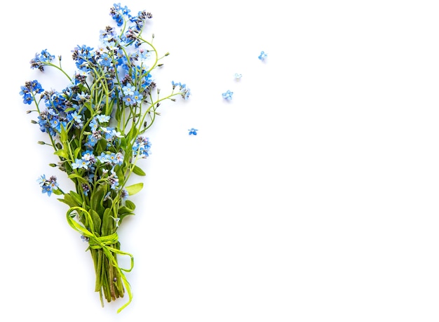 Forget-me-nots on white background