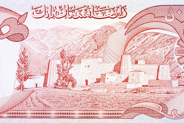 Fortified tribal village from Afghani money