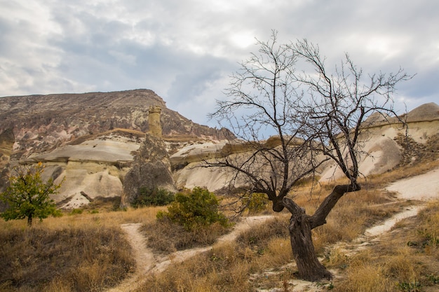 Foto Cappadocia Valley View national park