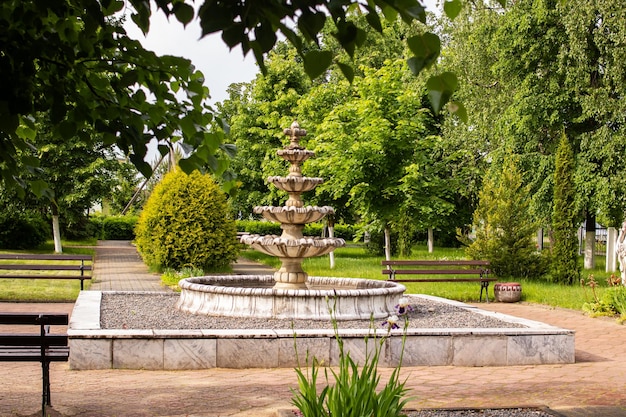 Fountain statue in park against background of green bushes