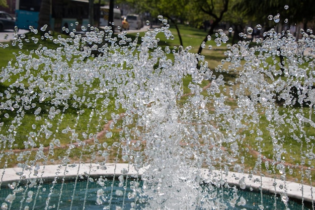 The fountains gushing sparkling water in a pool in a park