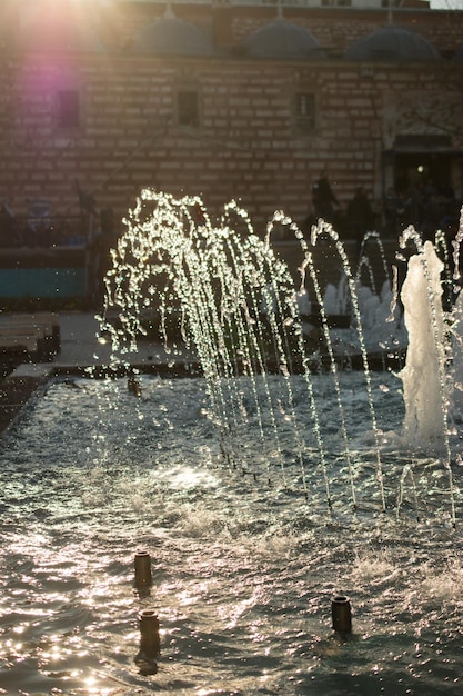 The fountains gushing sparkling water in a pool