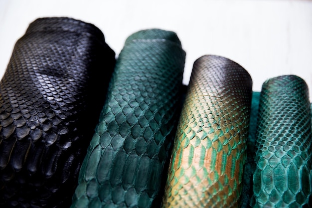 Four different tones of trendy green painted snake python skin surface