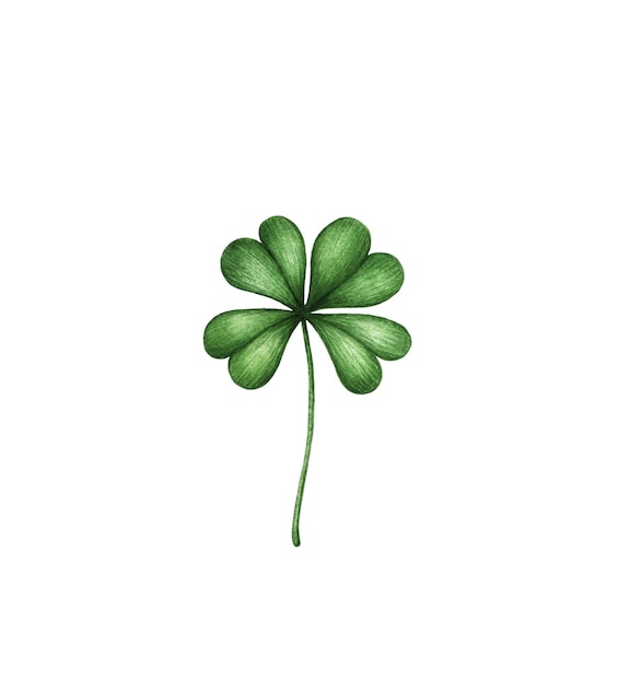 Four leaf clover Green watercolor leave isolated on white background Patricks Day design element