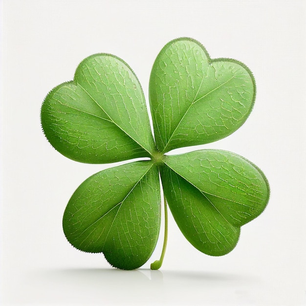 Four-leaf clover isolated on white close-up, bringing good luck talisman, symbol