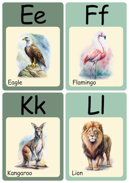 Photo four pictures of birds and a bird with the word k