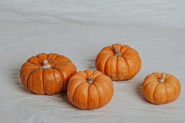 Four small pumpkins on a white background. Halloween