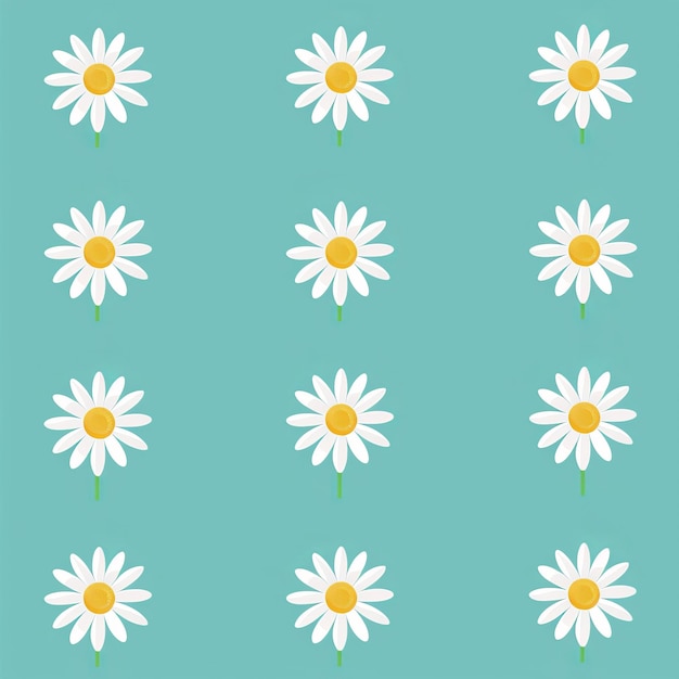 Photo four white chamomile set line camomile circle icon love card symbol growing concept flat design isolated green background