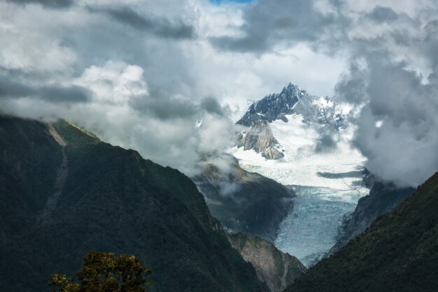 Fox Glacier