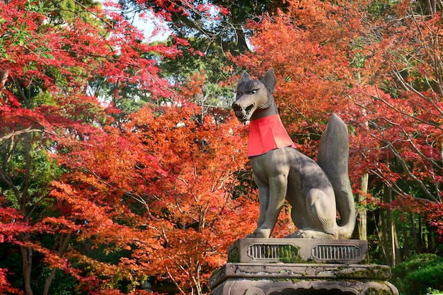 Fox statue and autumn leaves at Fushimi Inari Shrine.