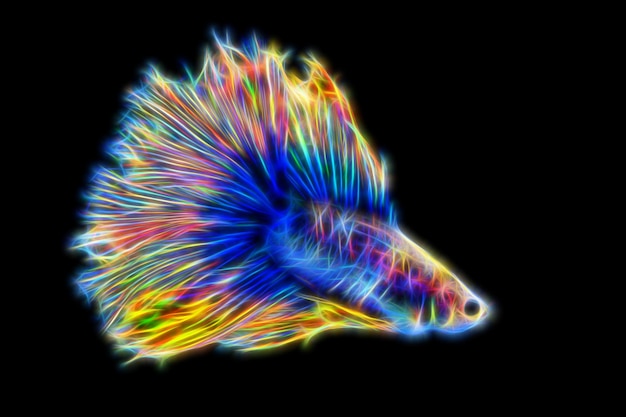 fractal abstract neon betta fish