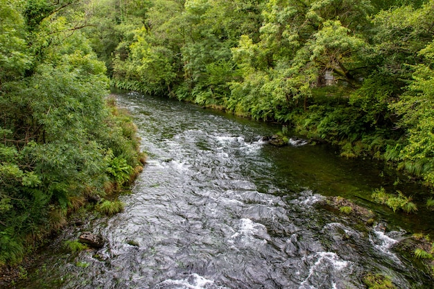 Fragas do Eume natural park