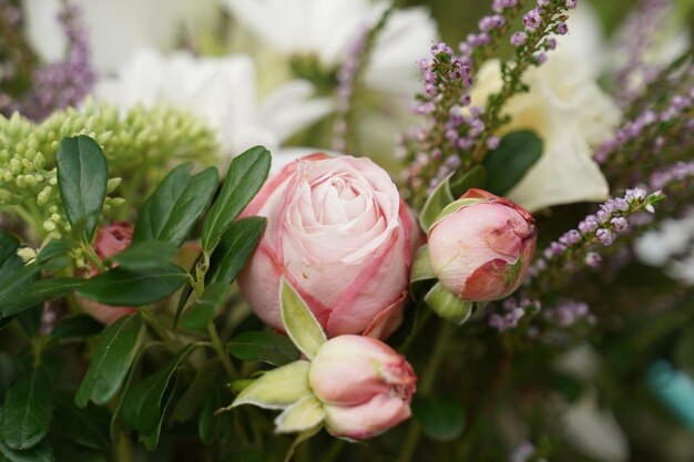 Fragment of a bouquet with delicate rosebuds. background or holiday card.