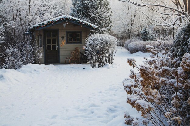 Fragment of a landscape park in winter Alleys garden house bushes trees A place to relax and unwind in a big city