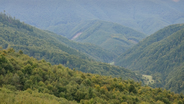 Fragment of the mountainous terrain in the Carpathians, Ukraine