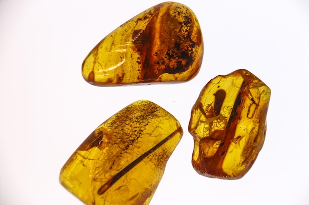 Fragments of amber closeup Natural amber with pieces of antiquities inside