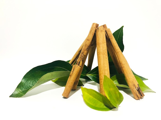 Fragrant cinnamon sticks on a white background