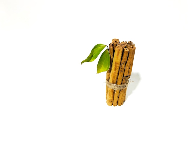 Fragrant cinnamon sticks on a white background