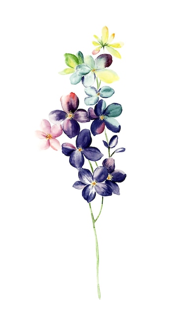 Fragrant flowers blossoming all year round, the leaves and flowers art design.