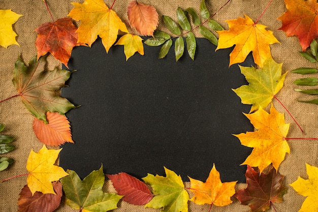 Frame of autumn leaves on chalkboard background