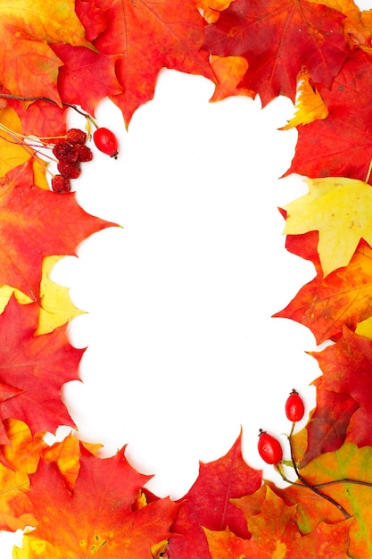 Frame of autumn leaves over white