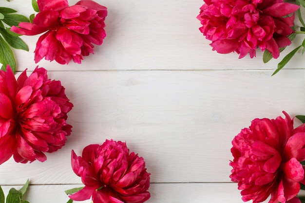 Frame of beautiful bright pink peony flowers on a white wooden background. top view. space for text