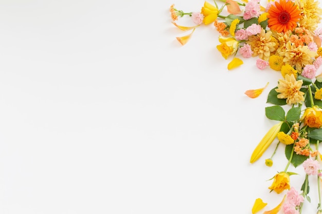 Frame of beautiful flowers on white background