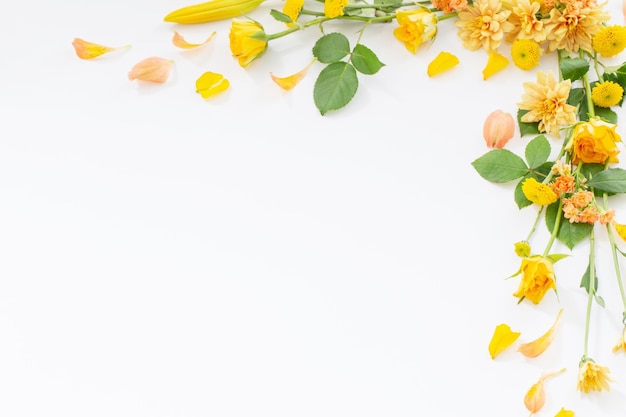 frame of beautiful flowers on white background