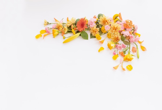 frame of beautiful flowers on white background