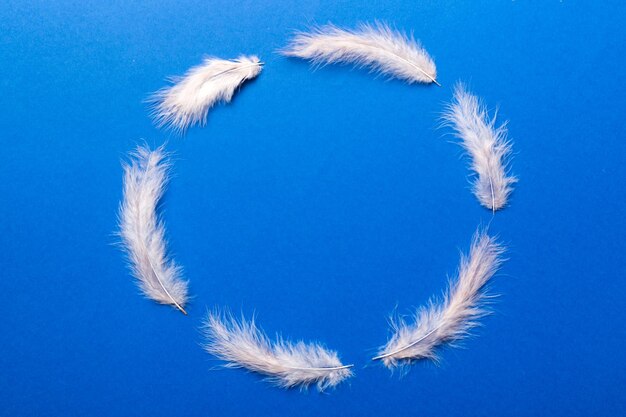 Frame of brightly colored dyed bird feathers on Colored background top view