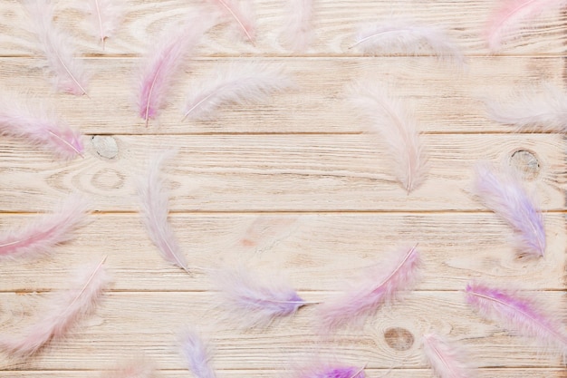 Frame of brightly colored dyed bird feathers on Colored background top view