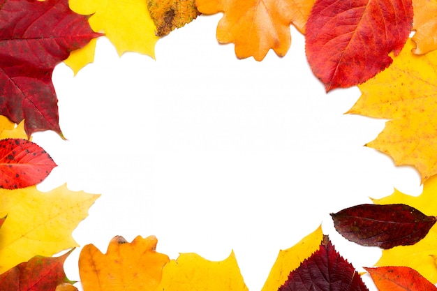 Frame composed of colorful autumn leaves foliage isolated on white background.