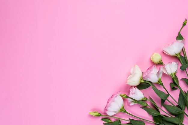 Frame composition with empty space in the center made of blooming pink eustoma, flat lay. Floral decorative corners on pink background.