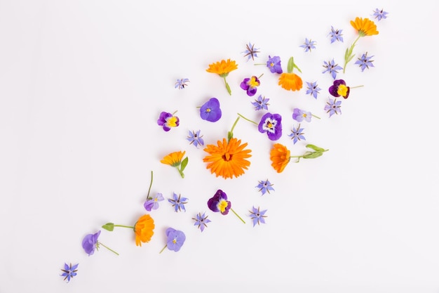 Frame from marigold viola borage flower on white background Top view Flat lay pattern edible flower