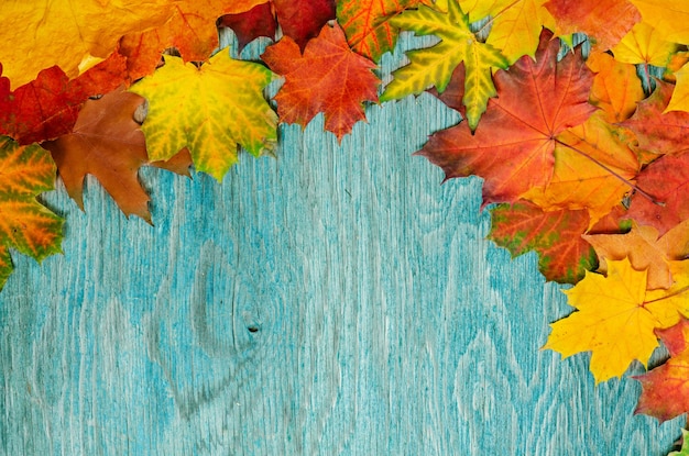 Frame from vivid colorful autumn leaves on the grunge wooden cyan desk vintage seasonal background