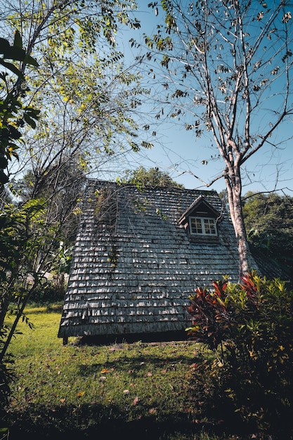 A Frame House In the summer morning before the autumn leaves