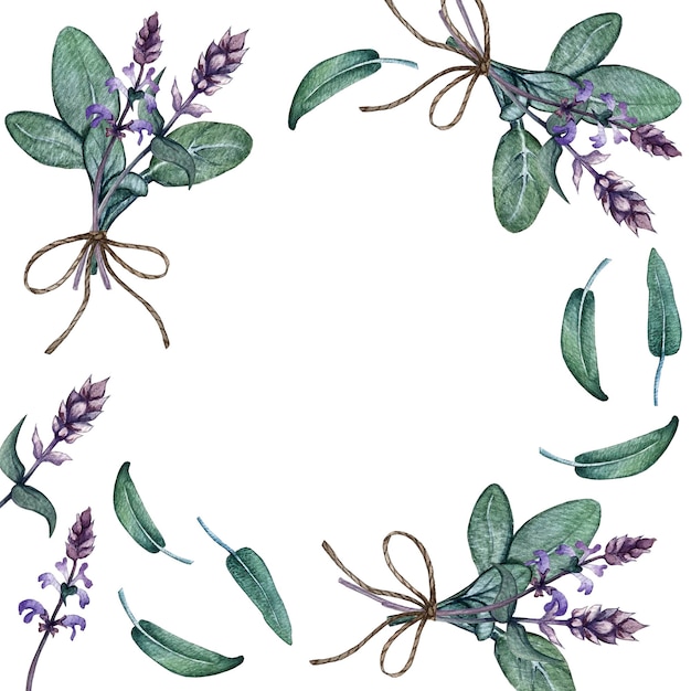 Frame of leaves and branches of sage High quality watercolor illustration