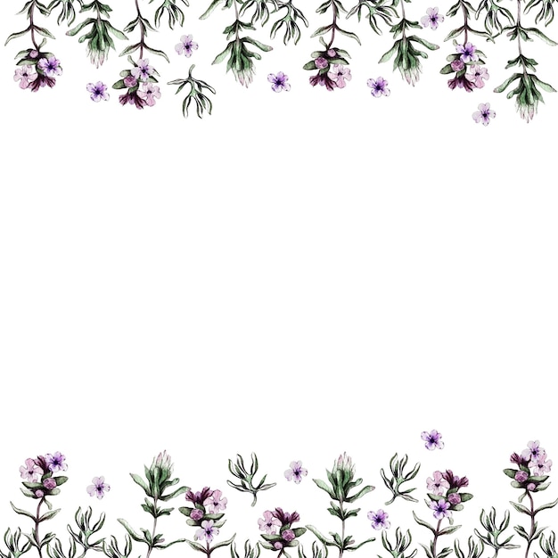 Frame of leaves and branches of thyme High quality watercolor illustration