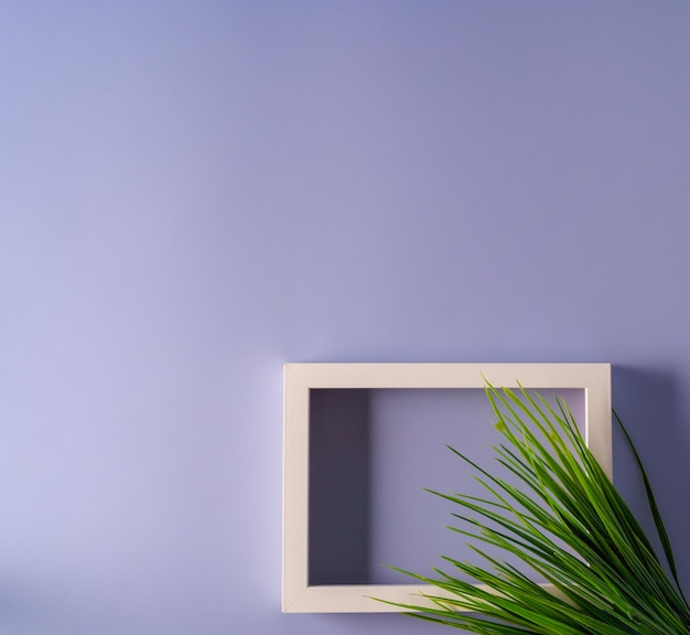 A frame on light background and a branch of plant the concept of minimalism