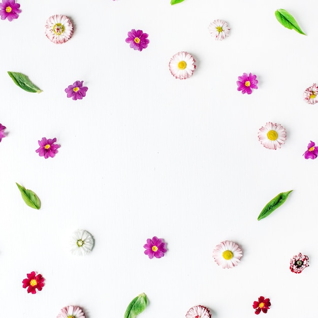 Frame made of chamomile buds, leaves, petals