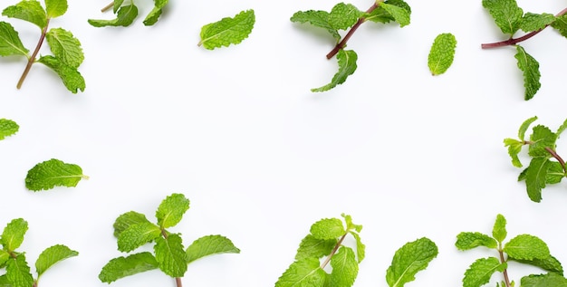 Frame made of fresh mint leaves on white background. Copy space