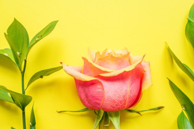 Frame made of green leaves and pink rose on yellow background. Flat lay, top view, copy space