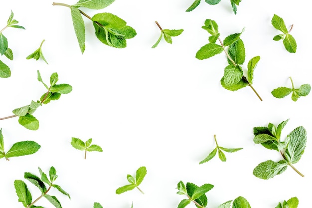 Frame made of mint leaves isolated on white background set of peppermint mint pattern flat lay top view