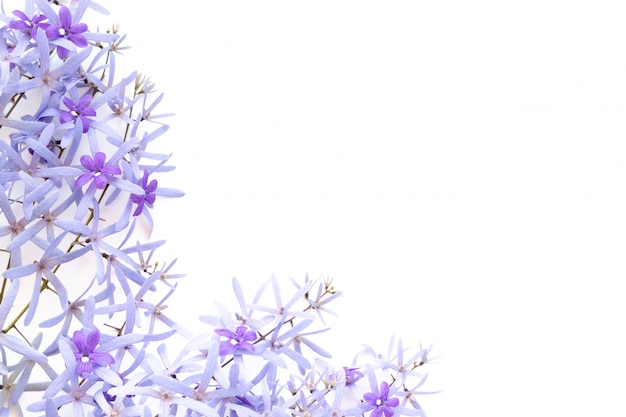 Frame made of purple flowers on white 