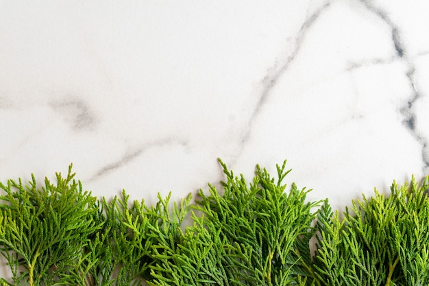 Frame made of white cedar thuja branches on white marble background, flat lay. Mockup card with copy space.